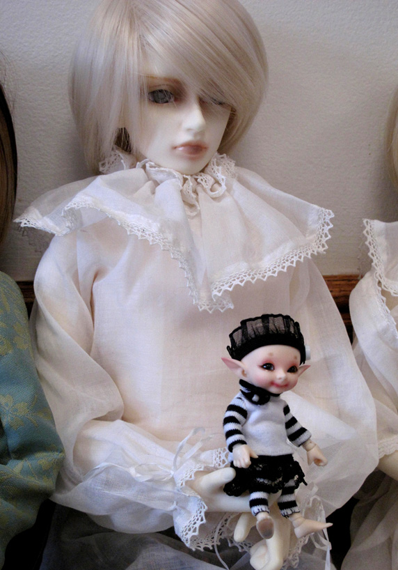 Lyrajean's Volks F36 holds vermont chick's Fairyland Realpuki Pupu at a June 9th, 2012 VTDL meet.
